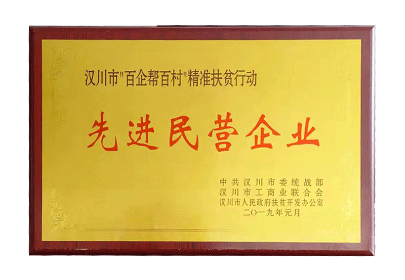 先進(jìn)民營(yíng)企業(yè)